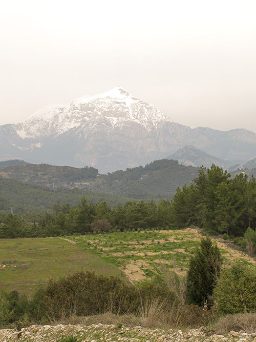Gömbe aus der Ferne