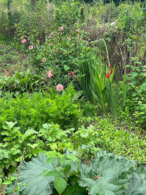 Ansicht Reiler Garten
